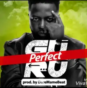 Guru - Perfect